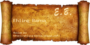 Ehling Barna névjegykártya